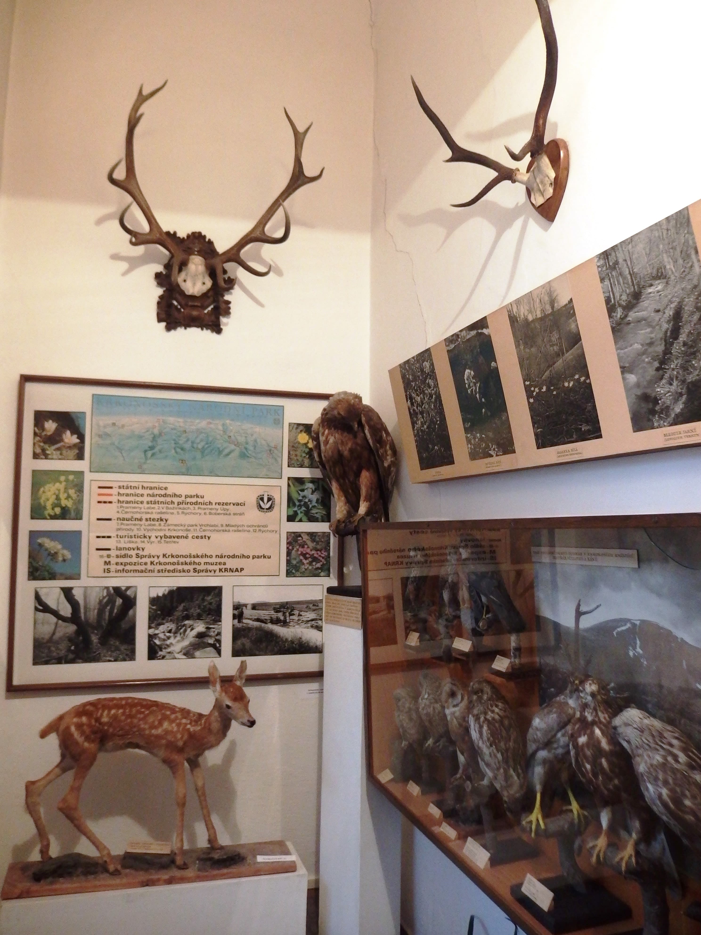 Krkonošské muzeum — Jilemnice